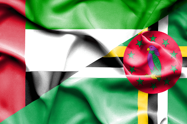 Flags of Dominican Republic and United Arab Emirates side by side