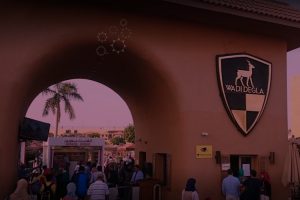 Reach Immigration sponsors the event held in Wadi Degla Sports Club in Egypt